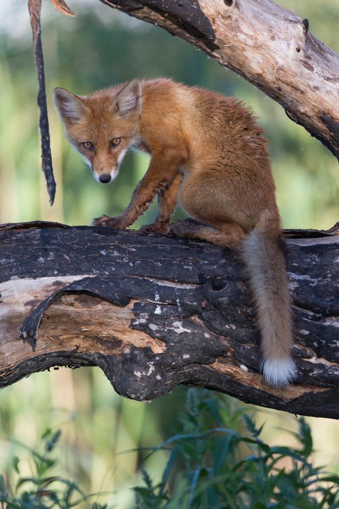 Photograph by Алексей Кашин