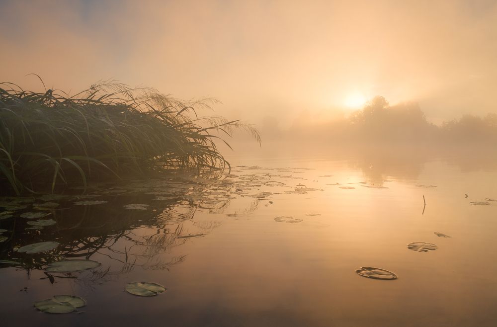 Ласковое утро.