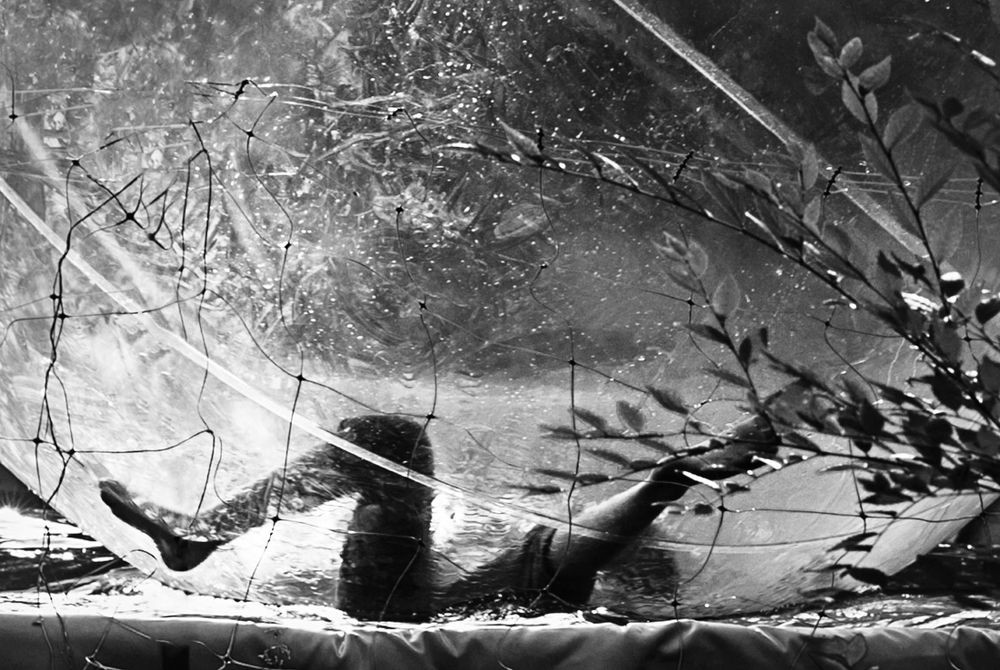 illusion of immersion/иллюзия погружения/