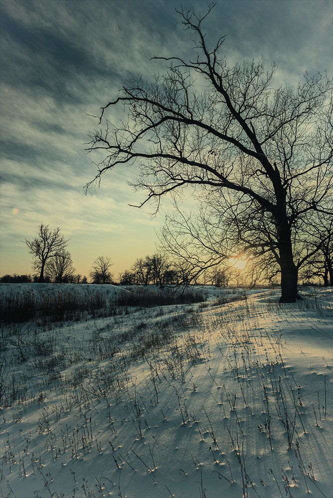 Фотография автора Игорь Баранов