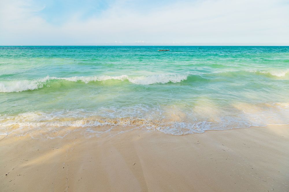 Beautiful Zanzibar beach landscape with blue and green ocean water