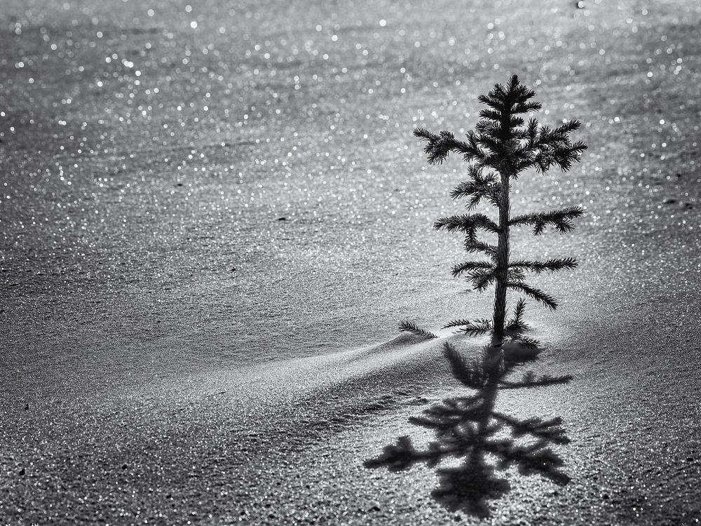 Photograph by Максим Рожин