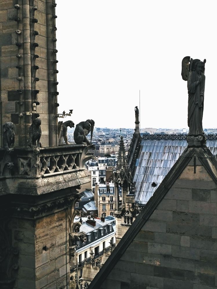 Химеры и Горгульи