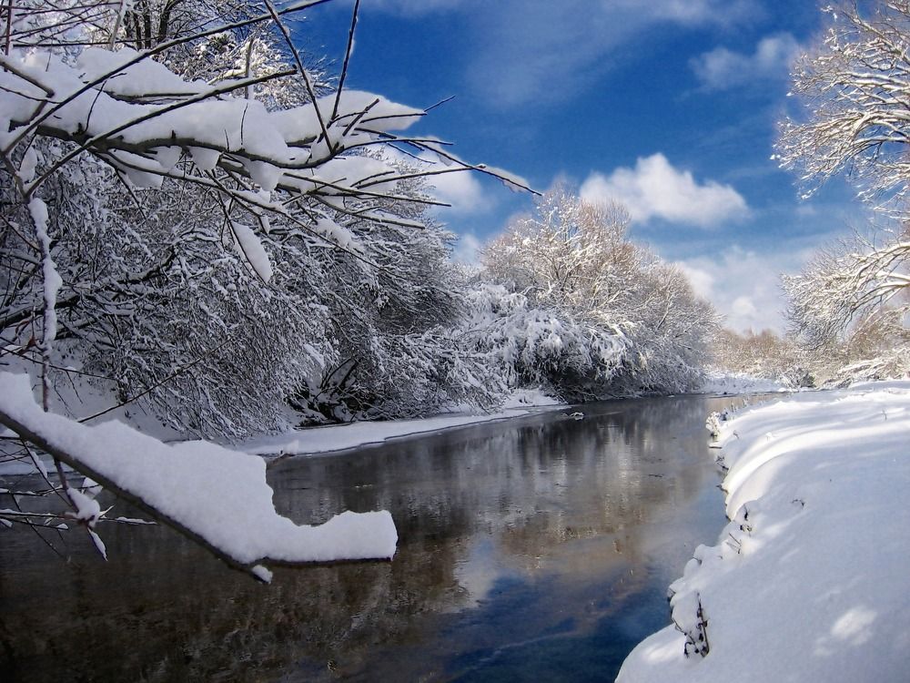 Photograph by Светлана