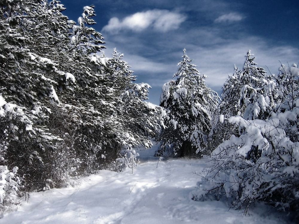 Photograph by Светлана