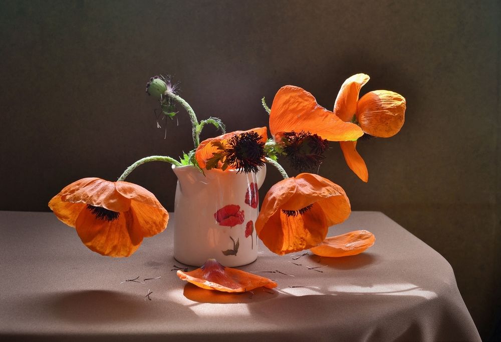 Короткая жизнь маков