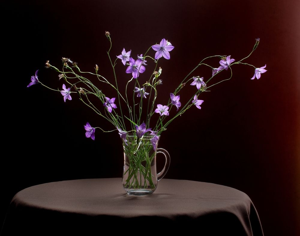 Колокольчик