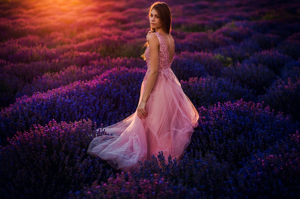 Красота лавандового поля