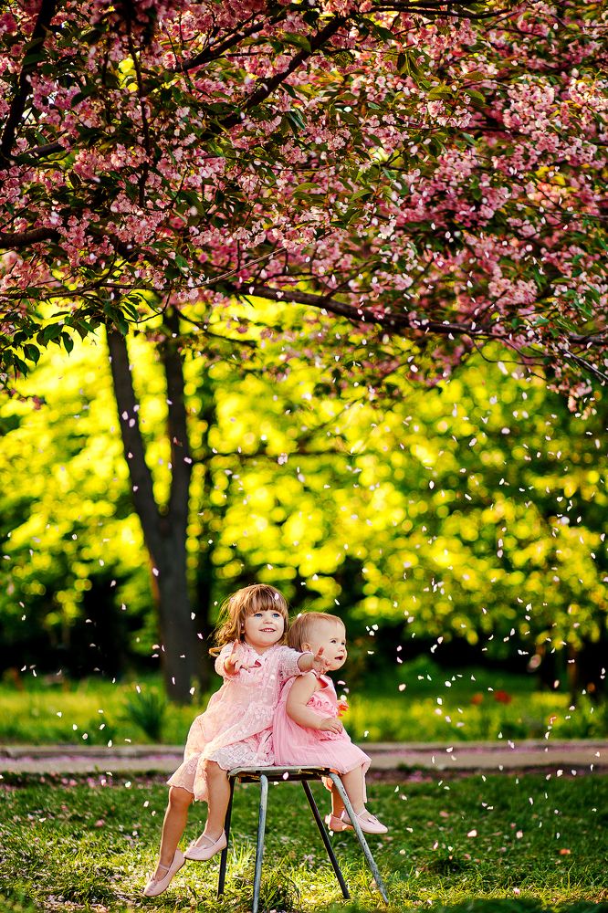 принцессы и сакура