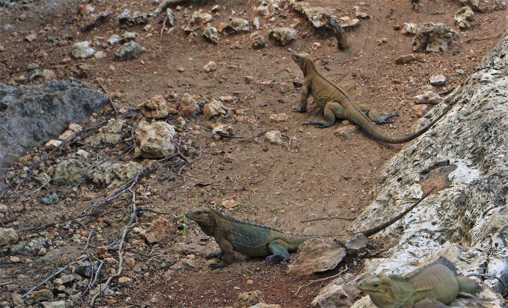 Photograph by Нелли