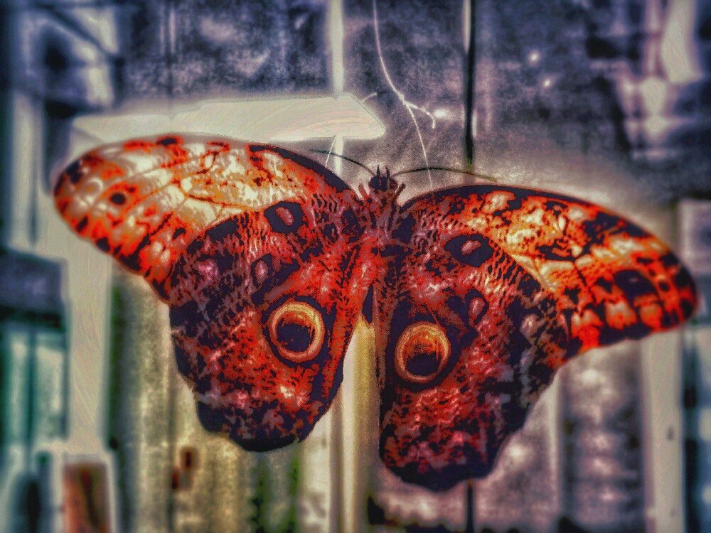 Photograph by Ирина Журавлева