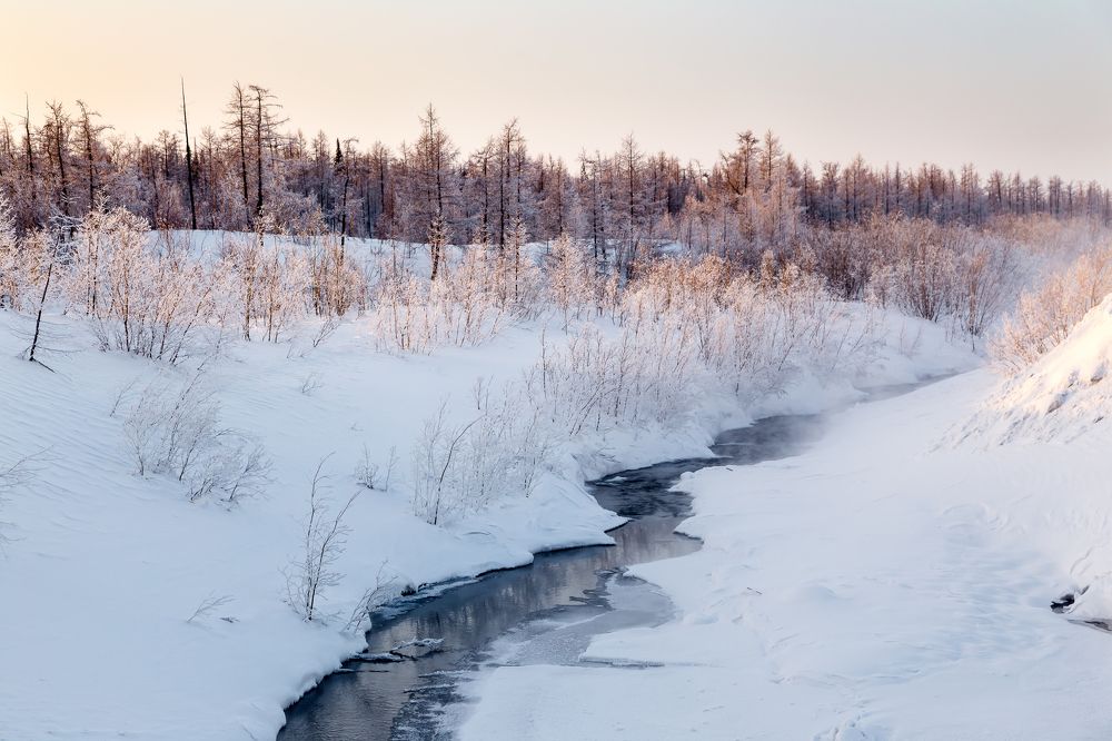 Зимний пейзаж