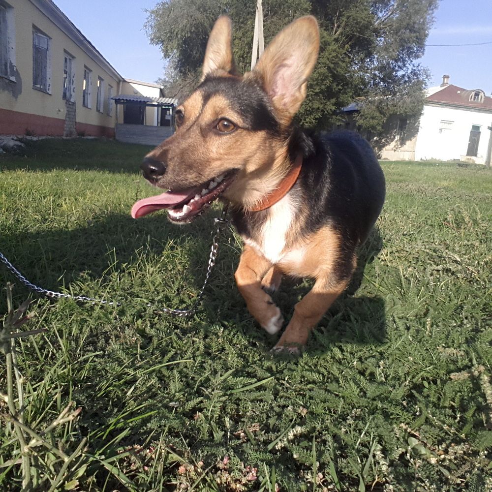 Photo #2253294