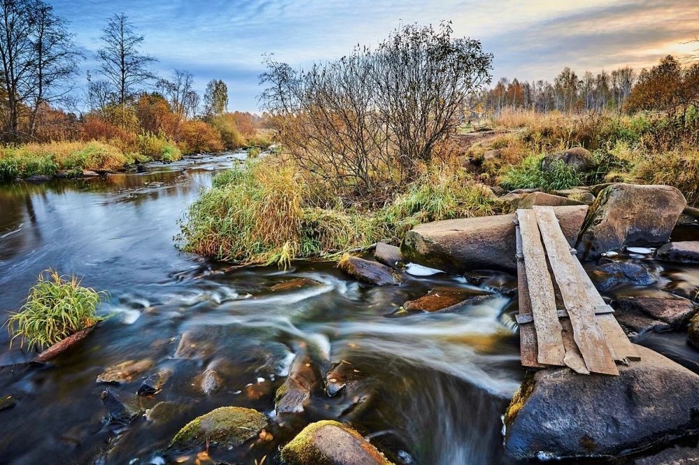 Утро на Решетке