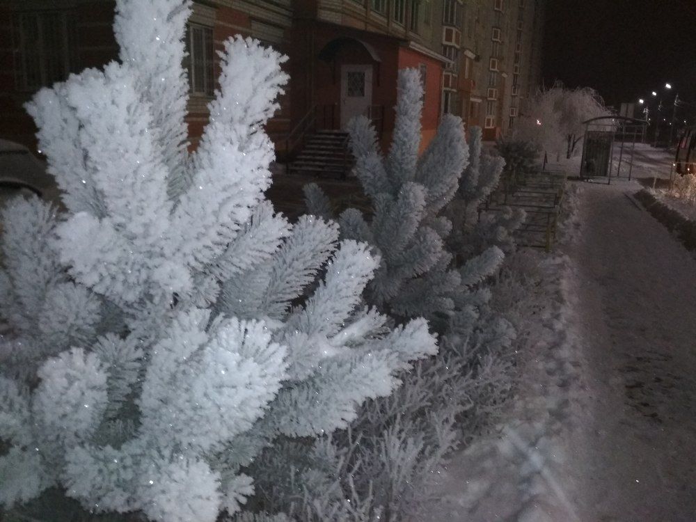 Зимняя сказка