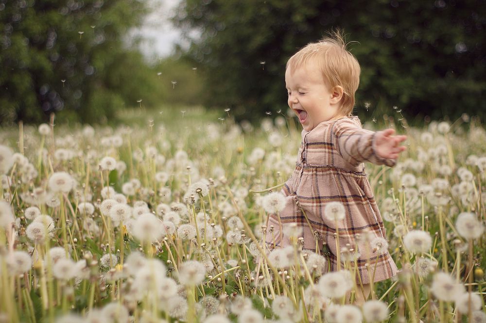 Одуванчиковое настроение