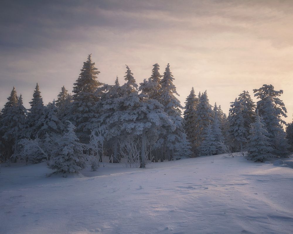 Снежный закат