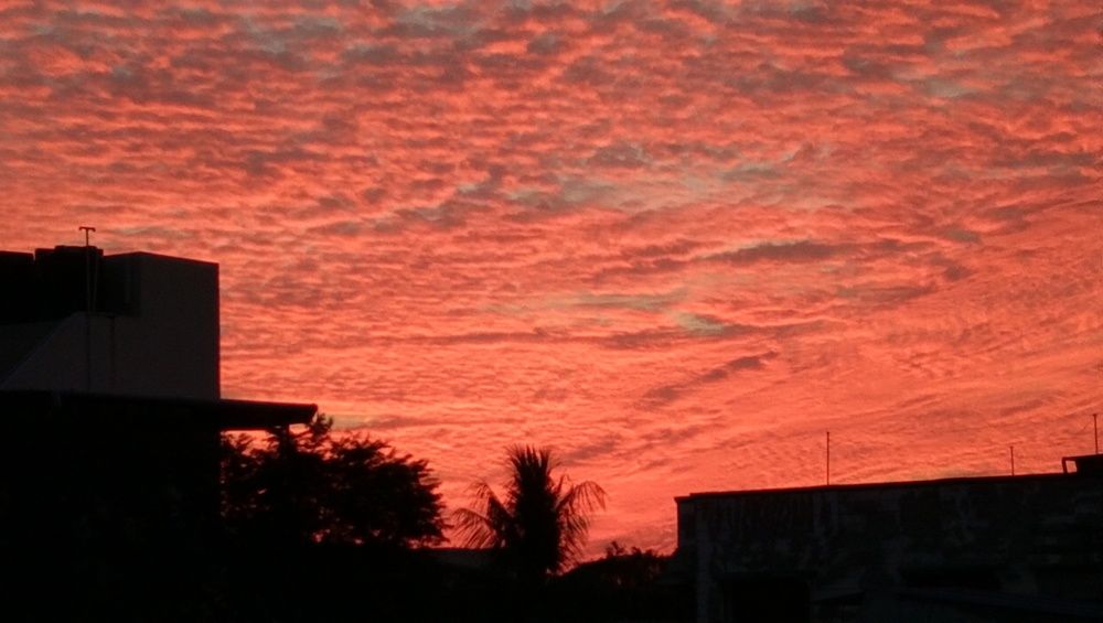 Wonderful Evening