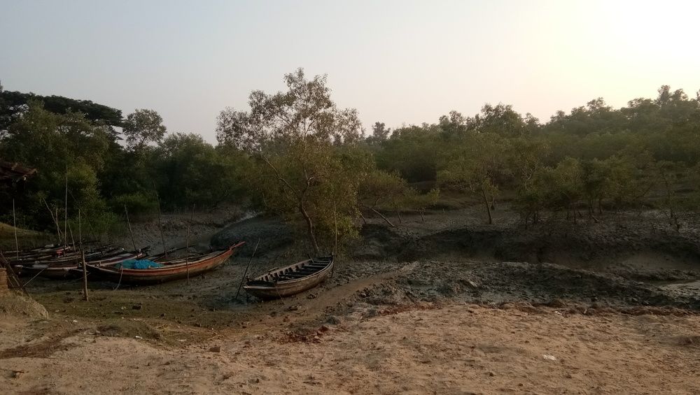 Misterios Sunderbans