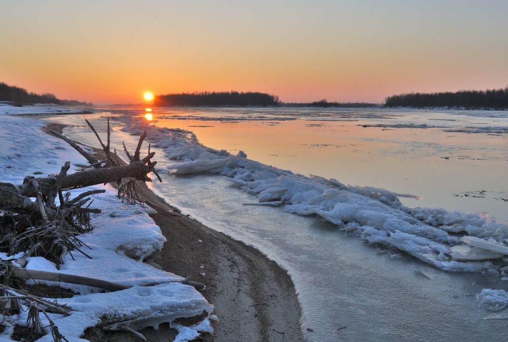 Утро зимнего дня