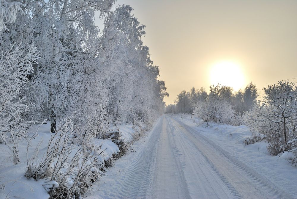 Зимняя дорога