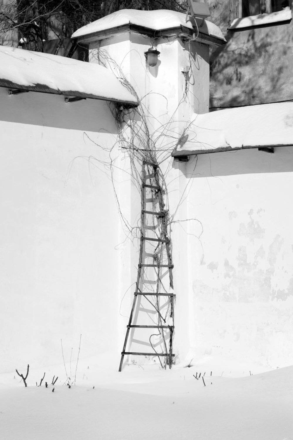 Тернистый путь