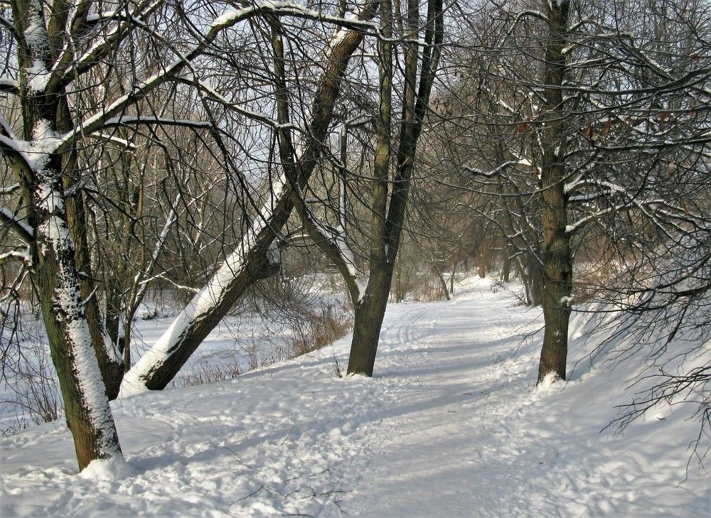 Январский свет