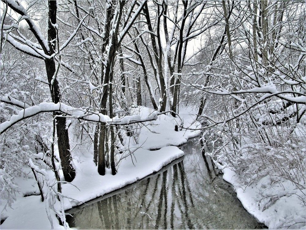 Ручей Безымянный зимой