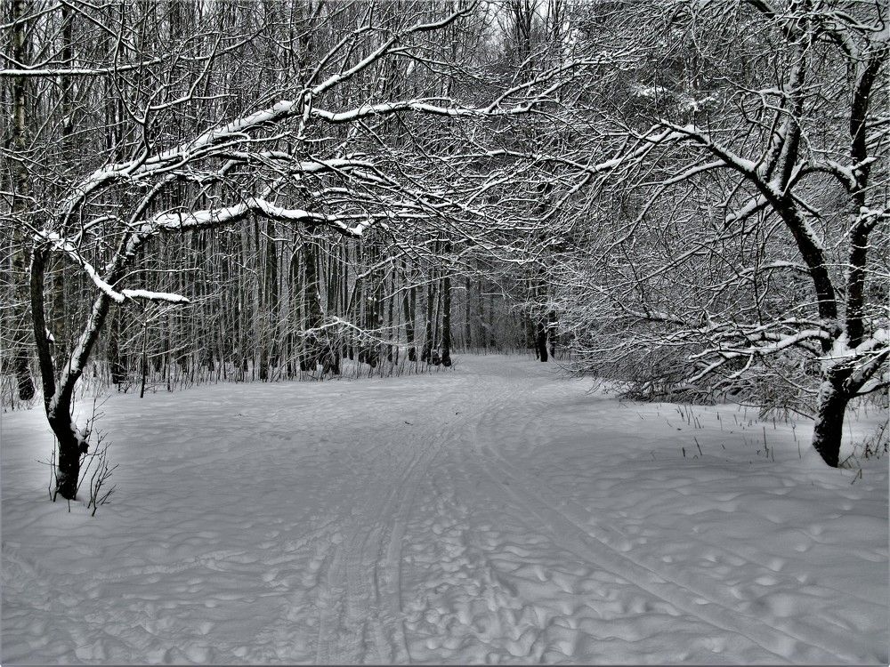 Давай пожмем друг другу руки