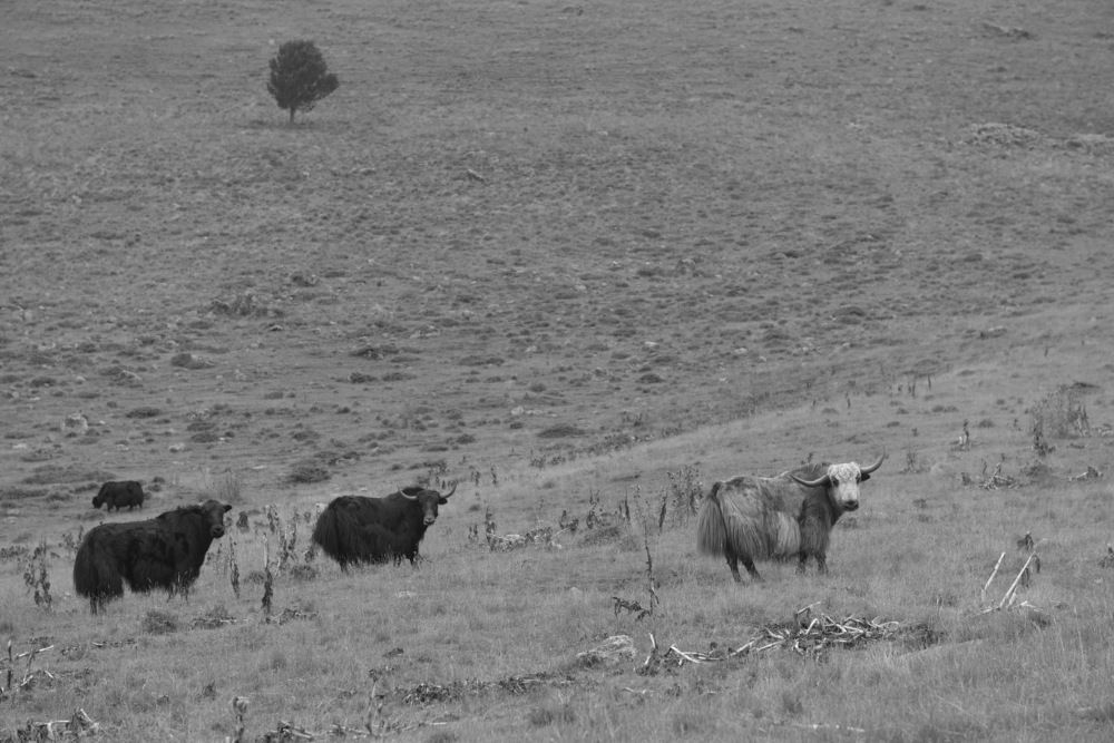 Фотография автора Медведев Сергей