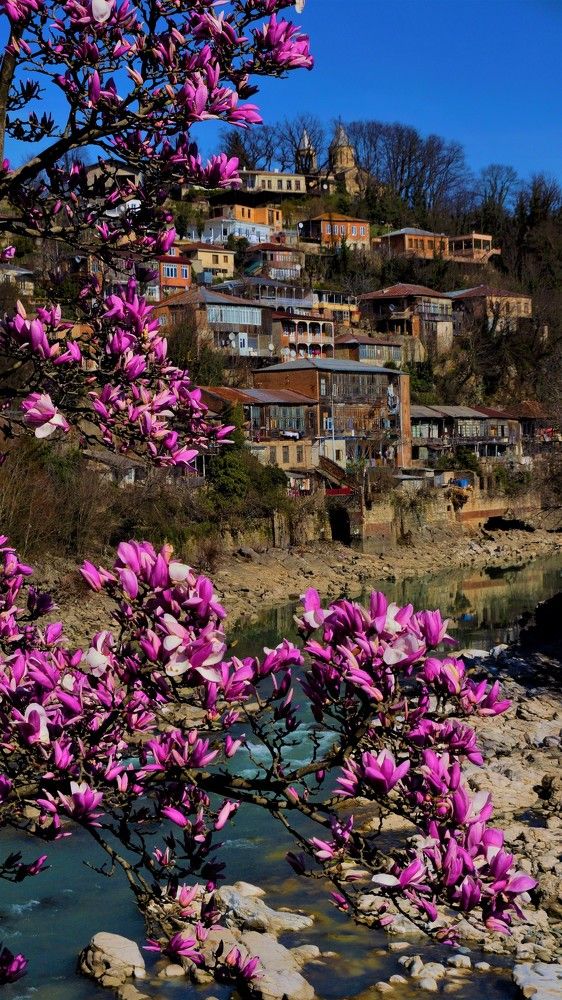 Photograph by Tamara Margvelashvili