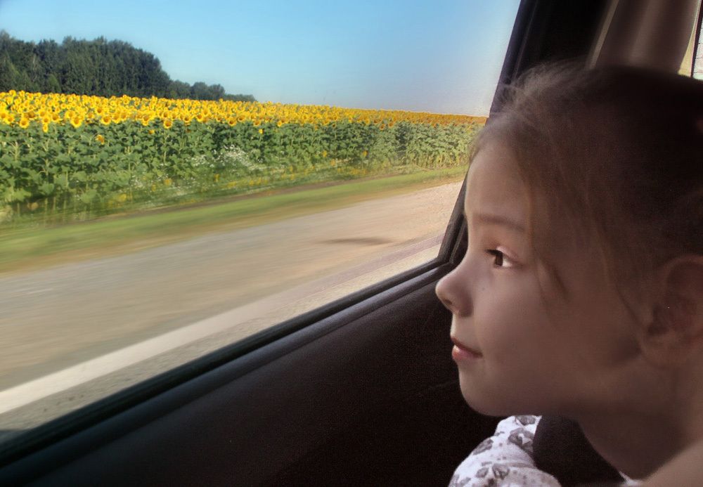 Первое путешествие