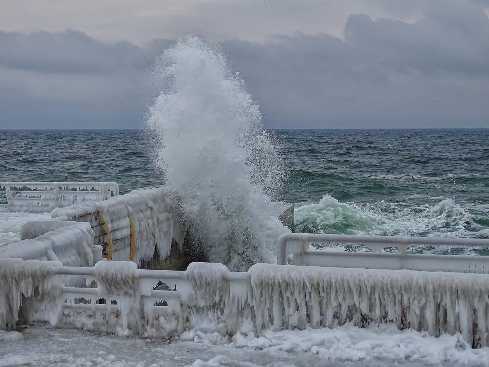 В болезненном предчувствии Весны...