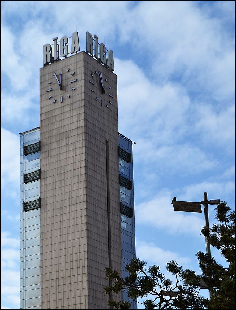 Фотография автора Алёна Морозова