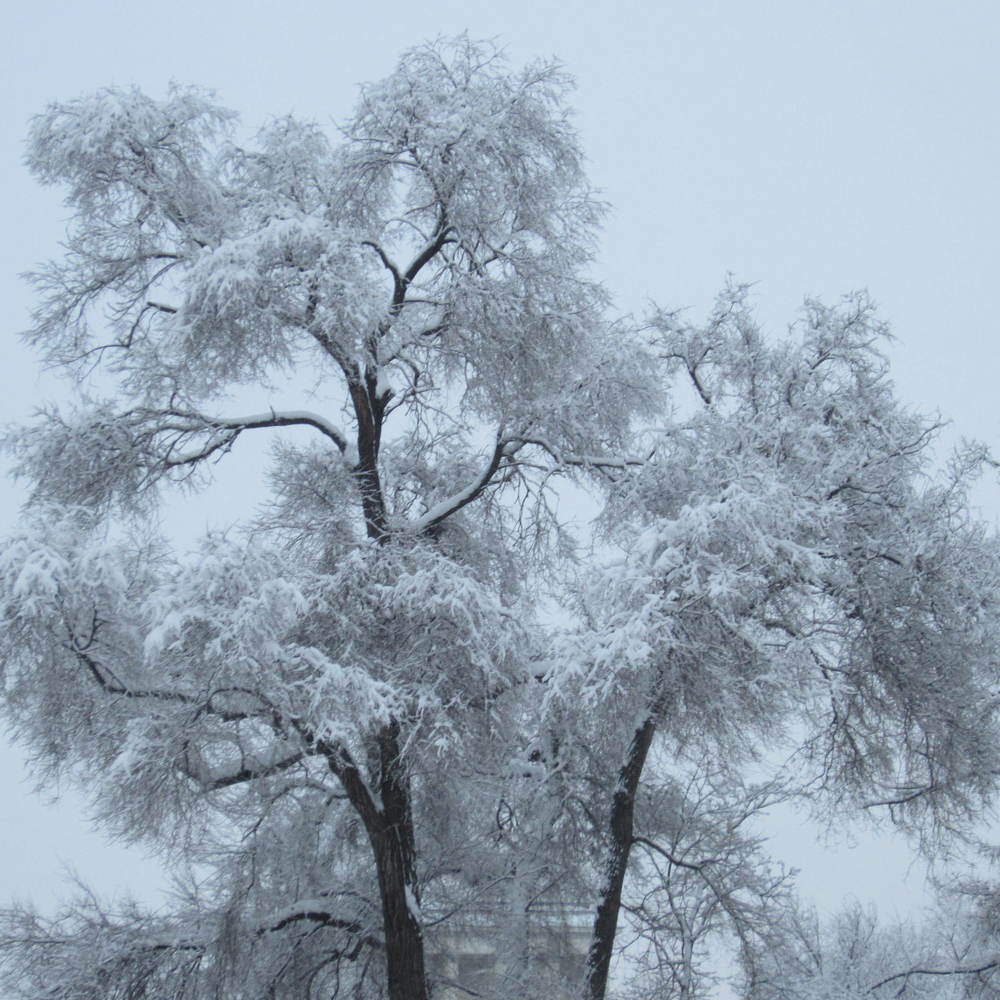 Photo #2254946