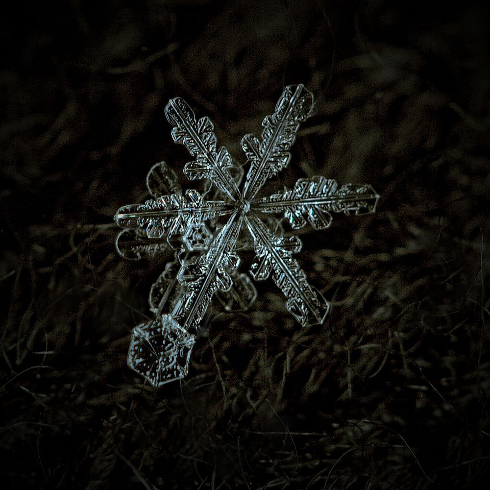 Три снежинки