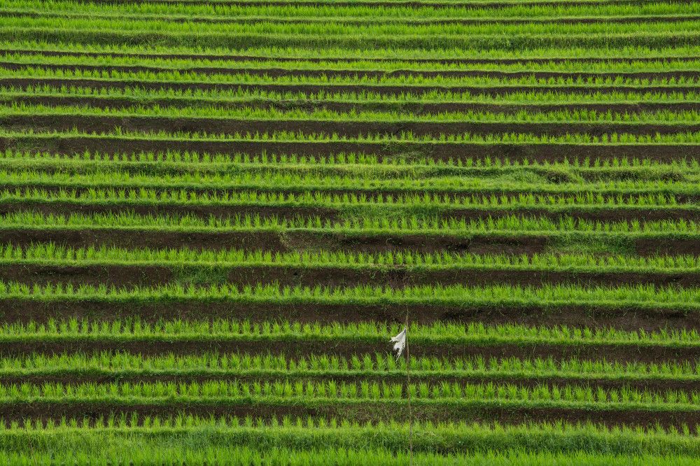 Photograph by Иван