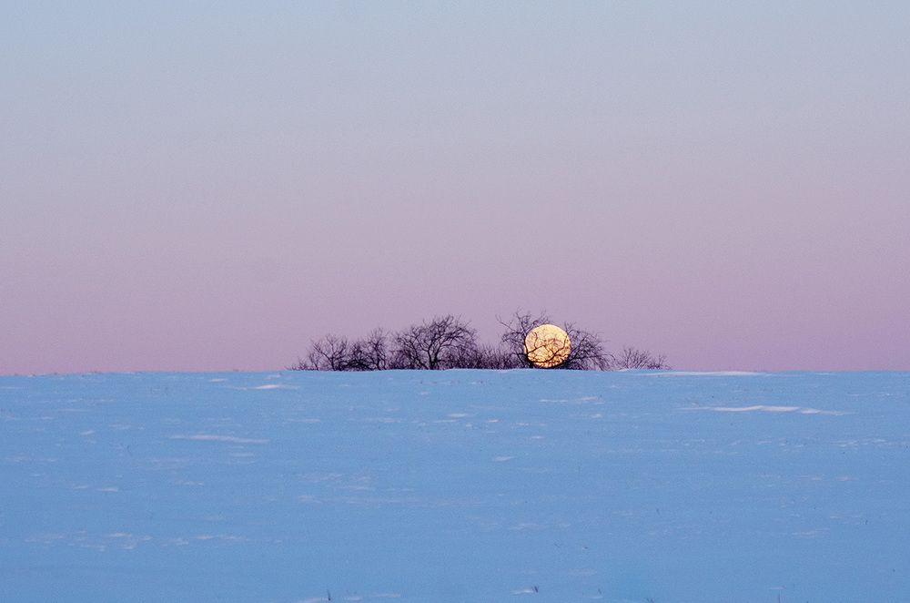 Лунная колыбель