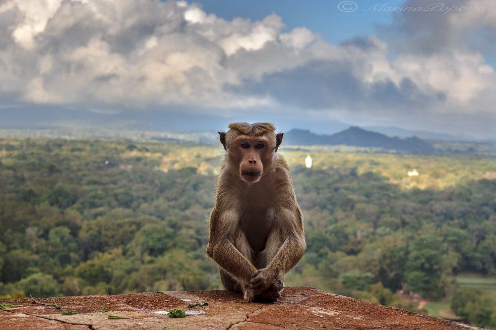 Посижу и подумаю