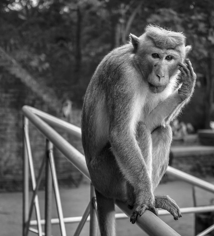 Задумалась