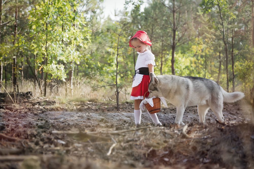 Красная шапочка