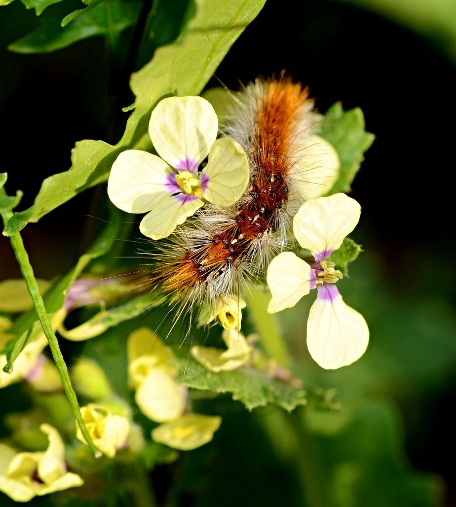 Photograph by yurikazarez