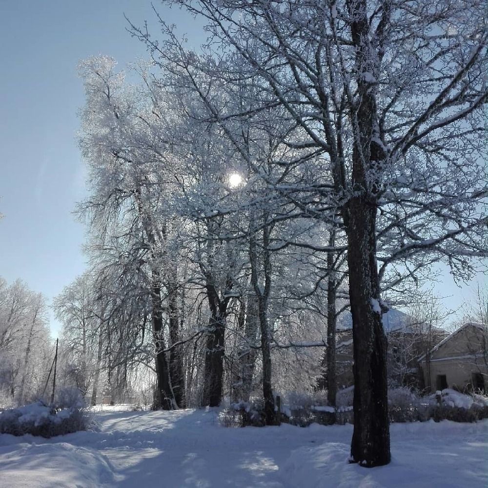 Сказочная зима