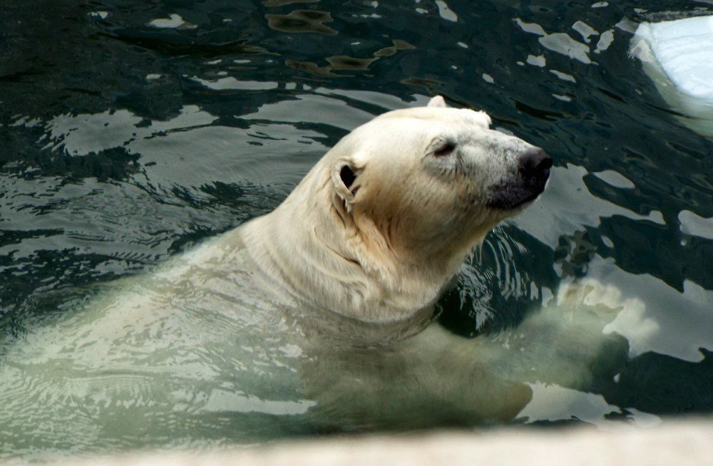 Photograph by Ирина