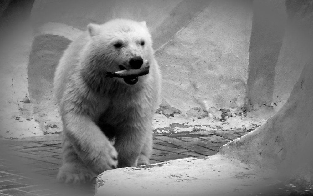 Photograph by Ирина