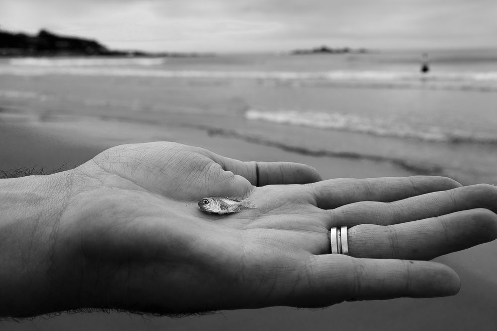 Photograph by Bárbara Guerreira