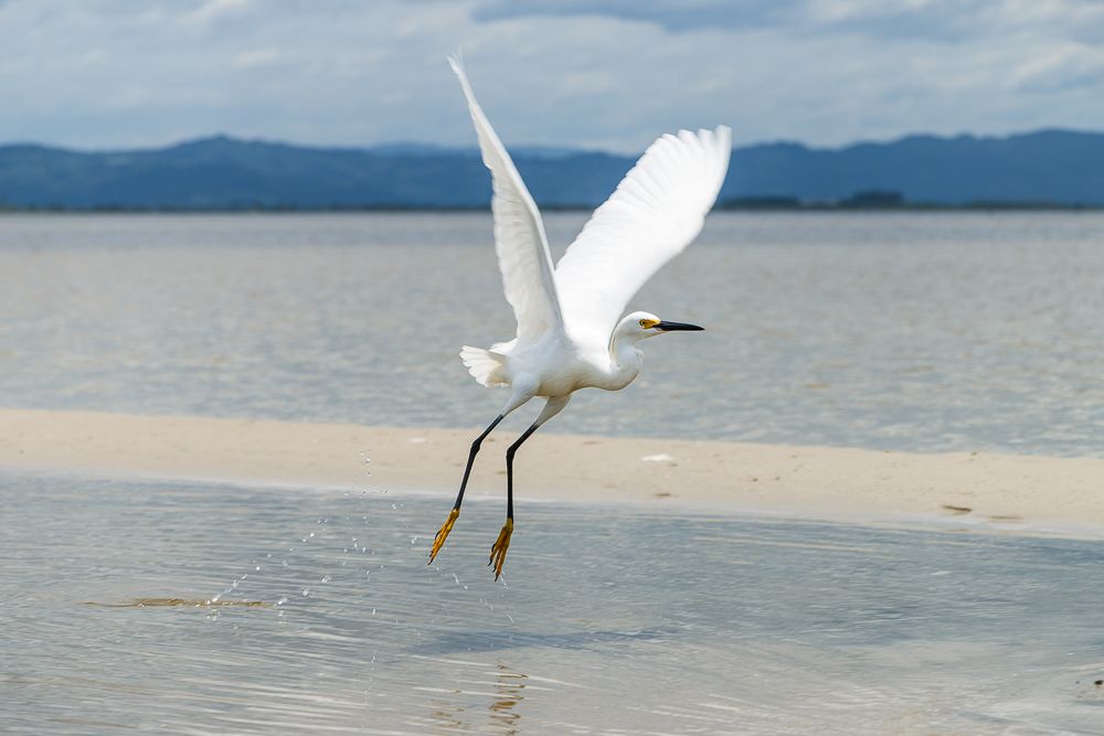 Photograph by Bárbara Guerreira