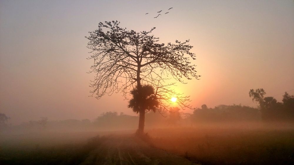 Sunrise in winter morning