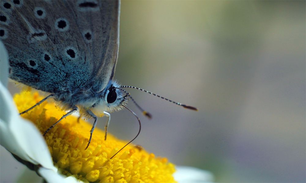 Пора обедать