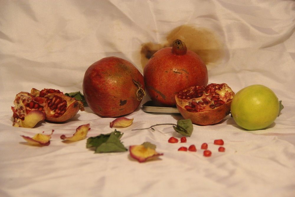 Photograph by Painter